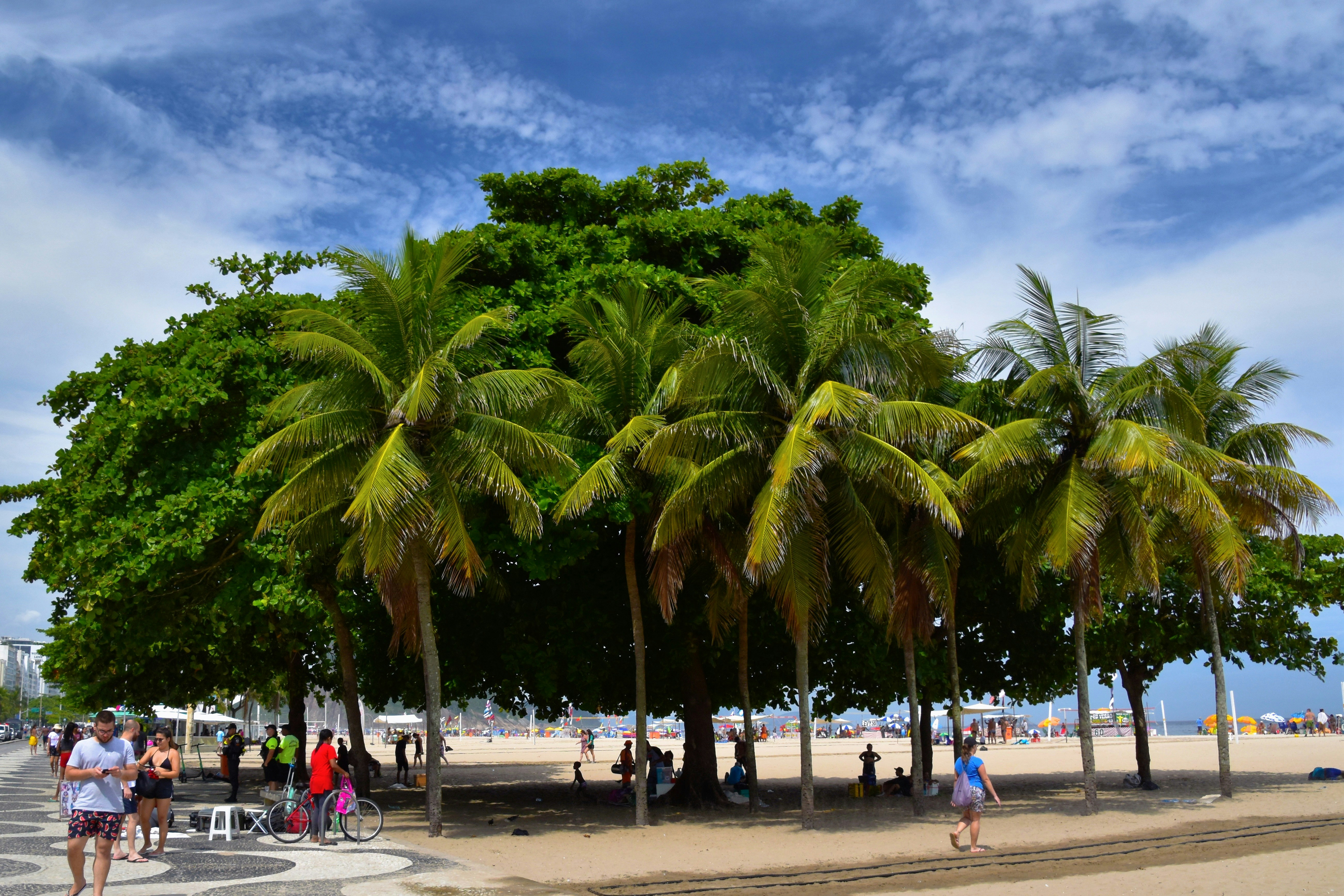 Lush hills of Kodaikanal